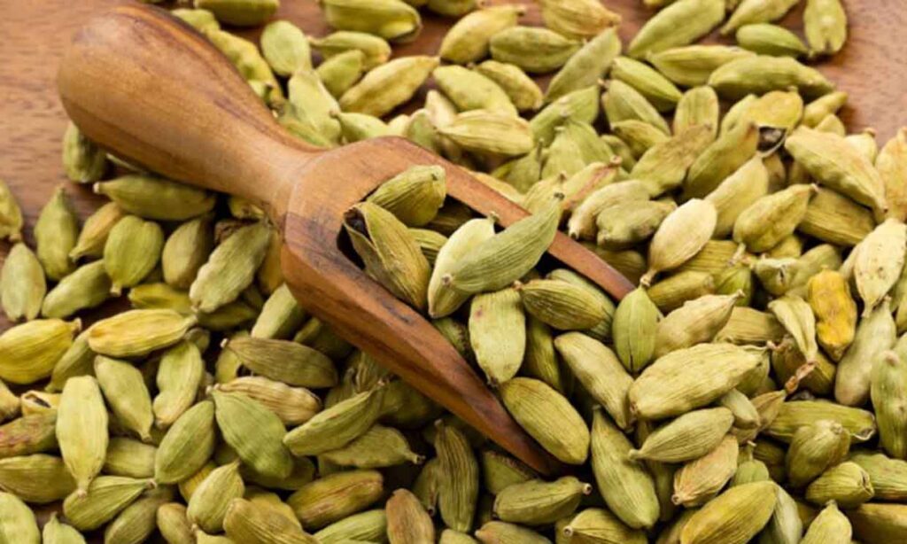 Comprar cardamomo para la digestión y mal aliento 6 el cardamomo