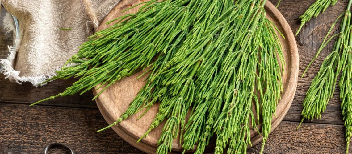 cola-caballo cola-caballo