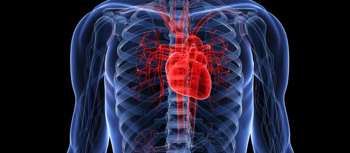 salud-cardiovascular salud-cardiovascular
